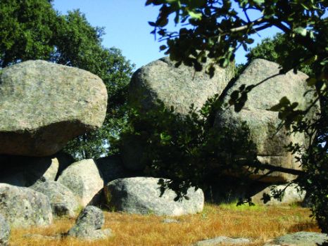 Berrocales en la dehesa